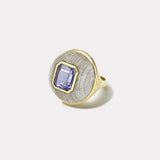 8.61ct Square Emerald Cut Tanzanite in Hand Carved Petrified Wood Classic Lollipop Ring