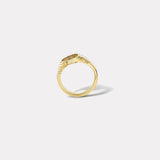 Tiered Fantasy Signet - Lion