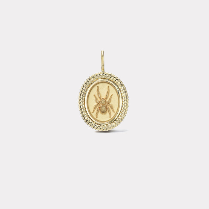 Twisted Gold Frame Spider Charm