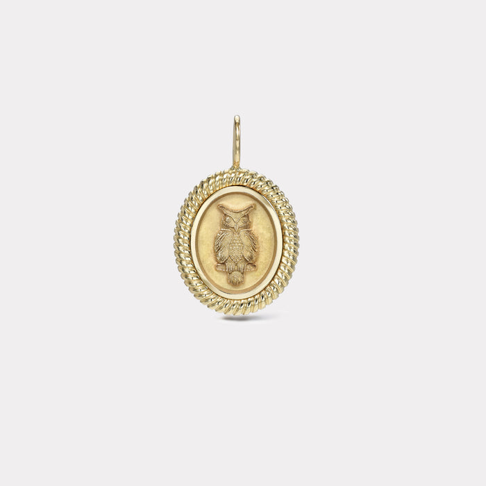 Twisted Gold Frame Owl Charm