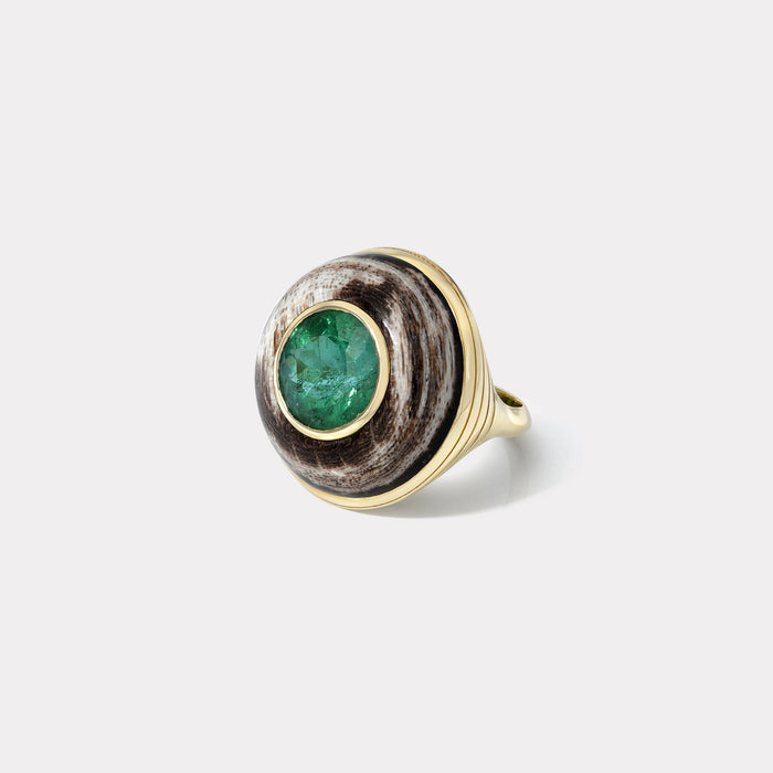 One of a Kind Lollipop Ring - Round 5.52ct Green Tourmaline in Petrified Wood